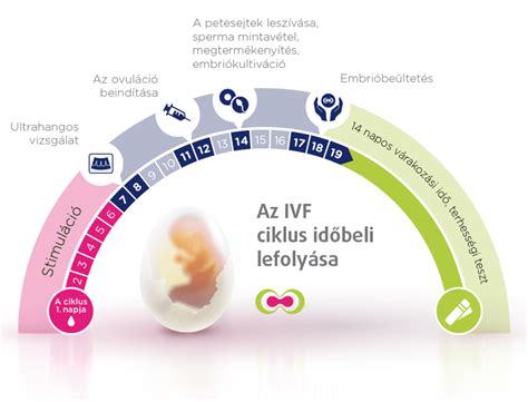Infografika az asszisztált reprodukciós eljárásokról