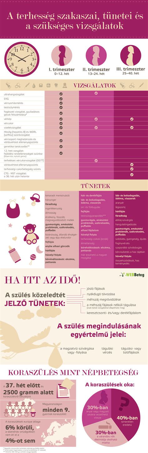 A terhesség különböző szakaszai