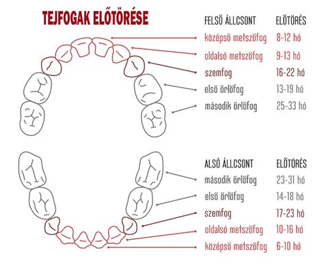 A fogzás jelei babáknál