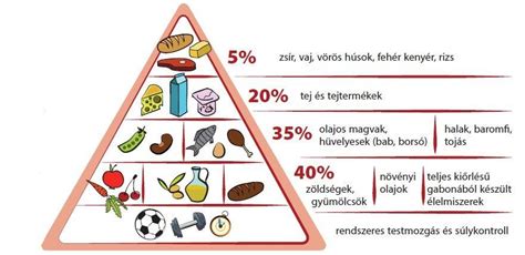 Az egészséges táplálkozás alapjai gyerekeknek