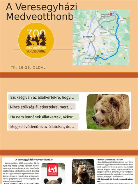 Babakocsi a Veresegyházi Medveotthonban