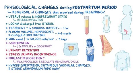 A másodlagos postpartum vérzés