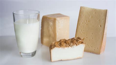 Vas felszívódása és tejtermékek