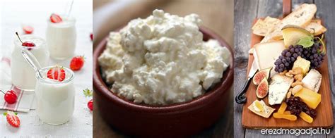 különböző tejtermékek