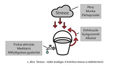 A stressz hatása az anyatej termelésére