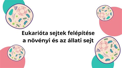 Különböző hordozótípusok összehasonlítása