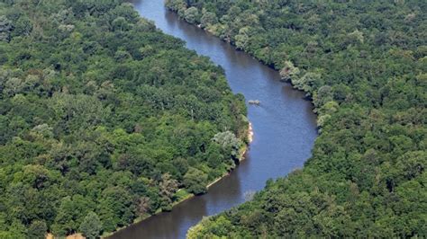 A Mura folyó és ártéri élővilága