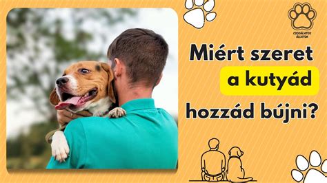 Kutyák szexuális viselkedése