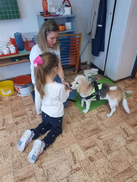 terápiás kutya gyerekekkel