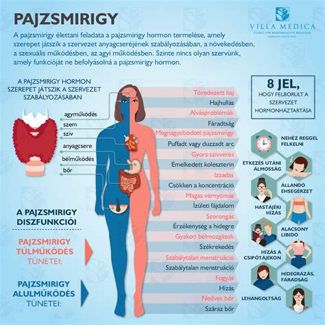 A pajzsmirigy alul- és túlműködésének összehasonlítása