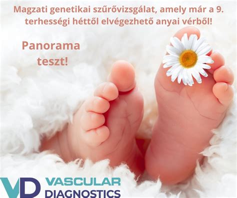 kromoszómák, ami meghatározza a baba nemét