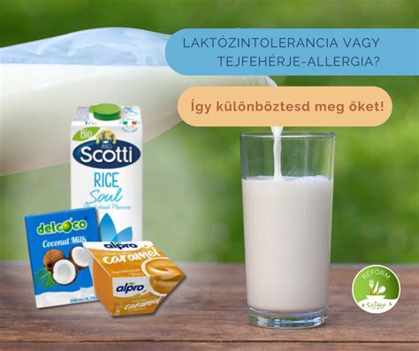 Illusztráció a tejfehérje allergia és a laktózintolerancia megkülönböztetéséről