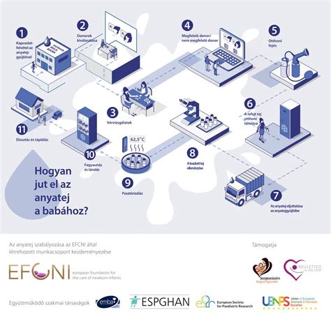 Infografika az anyatej tárolási idejéről és hőmérsékletéről