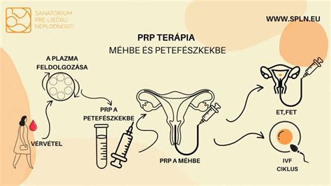 petesejtleszívás folyamata