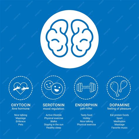 diagram oxitocin és prosztaglandin hatásáról