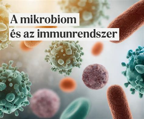 illusztráció a mikrobiomról