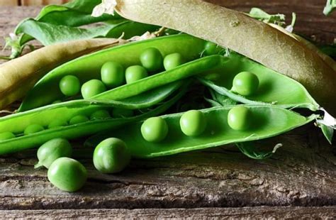 Különböző állagú zöldborsó pürék