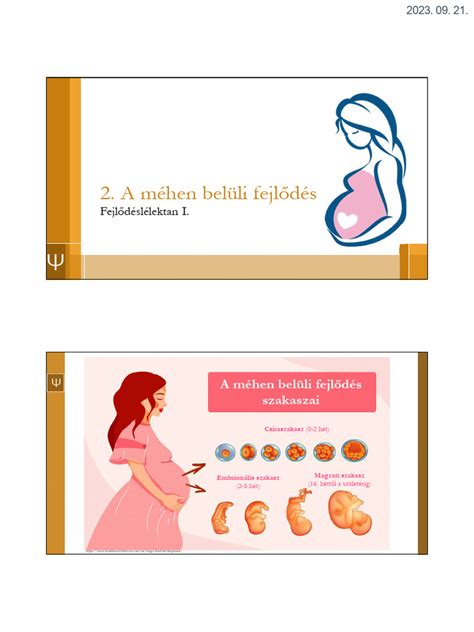 Infografika a méhen belüli növekedési rendellenességekről