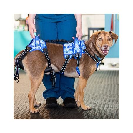 kistestű kutya emelő autósülésben