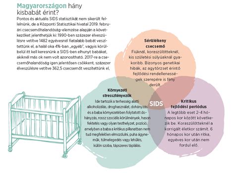 Ábra a SIDS kockázati tényezőiről