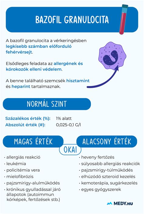 Infografika a preeclampsia tüneteiről és kockázatairól