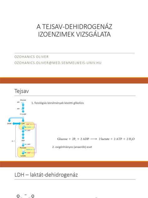 LDH izoenzimek eloszlása a szervezetben