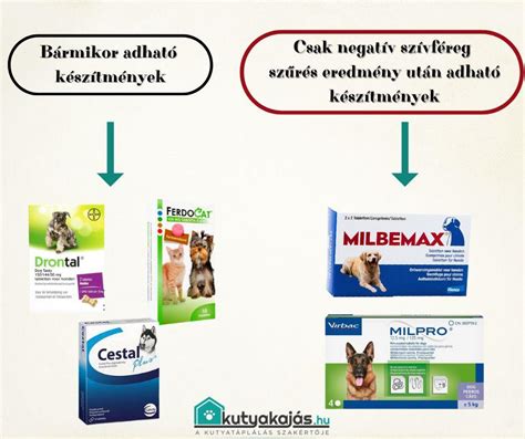 Szülődoboz macskának