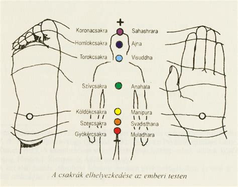 A striák elhelyezkedése a testen