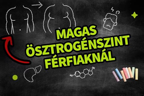 Hormonszintek ábrája férfiaknál
