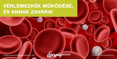 A vérlemezkék szerepe a véralvadásban