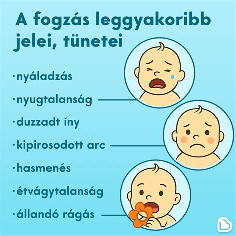 Baba fogzása