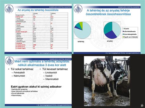 Anyatej mennyisége táblázat