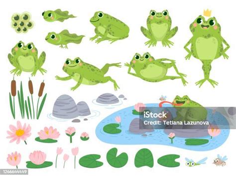 békák és a természet illusztrációja