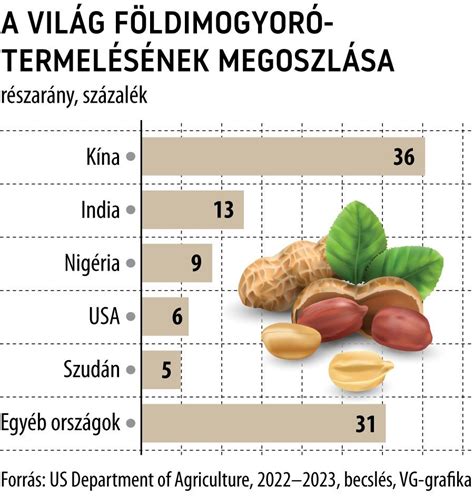 A földimogyoró bevezetésének időzítése