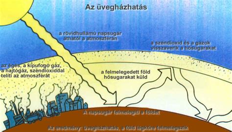 Illusztráció a petefészek-stimuláció folyamatáról