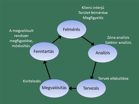A méhszáj tágulásának folyamata