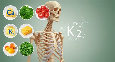A K-vitamin hatása a véralvadásra és csontokra