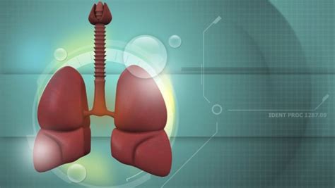 A genetikai hajlam szerepe az asztma kialakulásában
