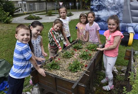Gyermekek gondozzák az óvodakertet