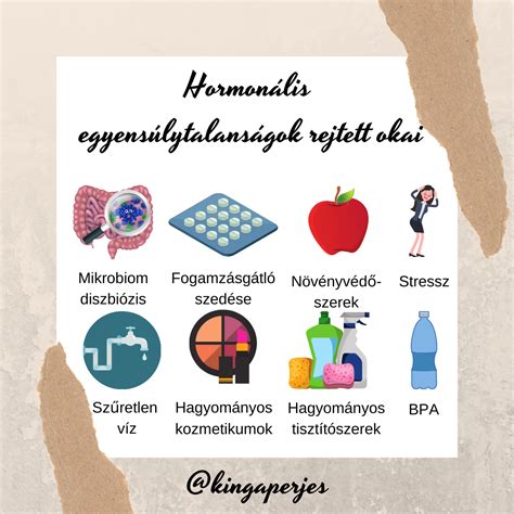 hormonális háztartás ábrája