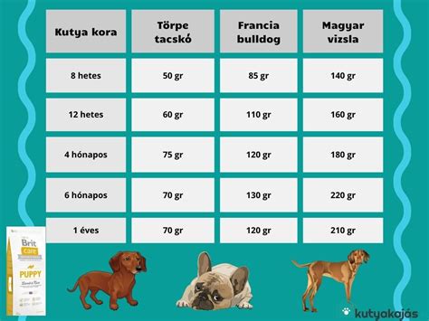 Etetési rutin táblázat