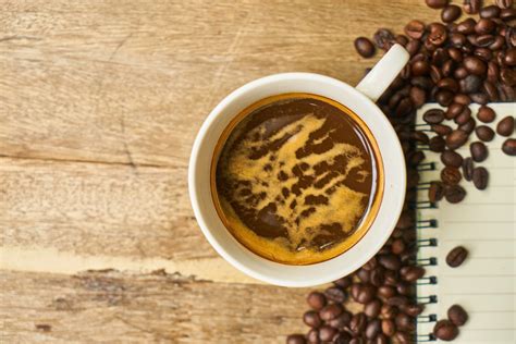 Koffein körforgása a szervezetben