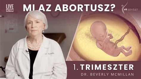 szemléltető ábra az abortusz különböző szakaszairól