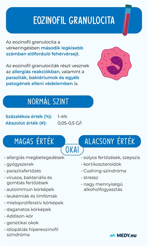 infografika a fogamzásgátlás módszereiről és hatékonyságáról