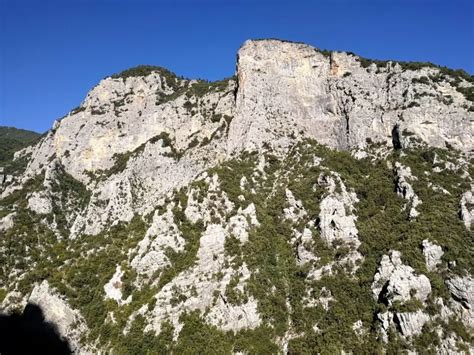 Dolomit sziklafal és szubmediterrán növényzet