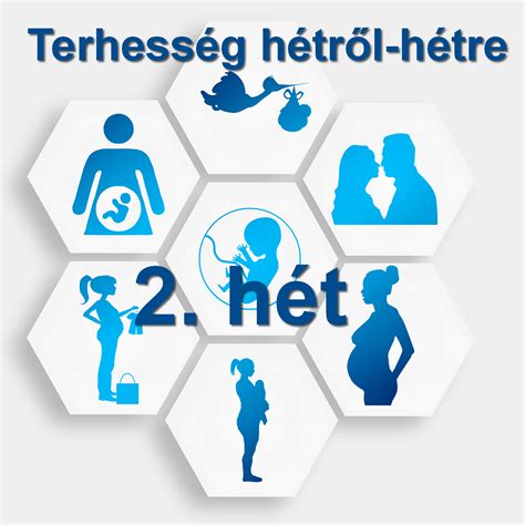 Terhesség hétről hétre - 2. trimeszter