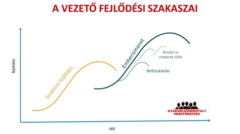 ultrahang fejlődési görbe