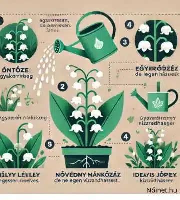 Illusztráció gyógynövényekről és természetes olajokról