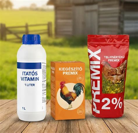 csíráztatott búza tyúkoknak