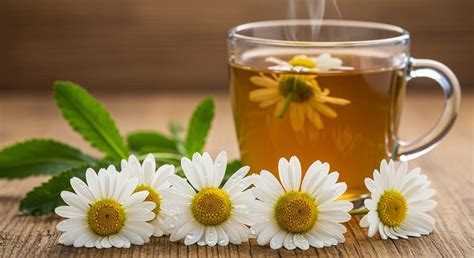 Csecsemő és kamilla tea